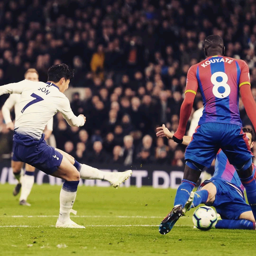 力对战术的 力对战术的